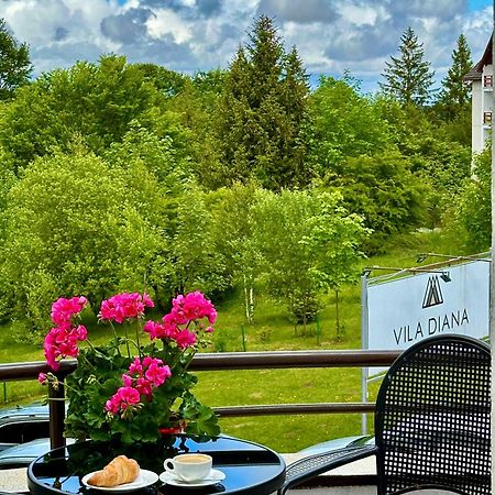 Vila Diana - Poiana Brasov Εξωτερικό φωτογραφία