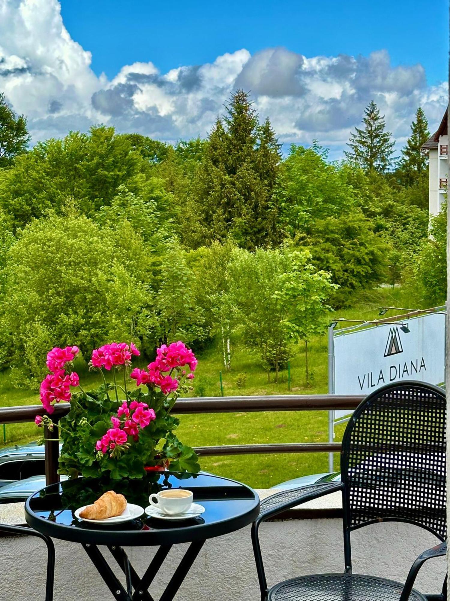 Vila Diana - Poiana Brasov Εξωτερικό φωτογραφία